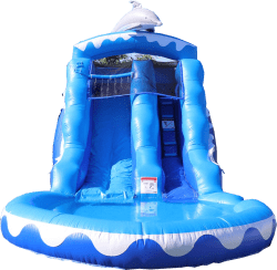 12' dolphin water slide