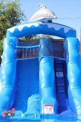 IMG 2562 1750054534 12' dolphin water slide