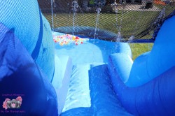 IMG 2563 1750054534 12' dolphin water slide