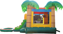 Hawaiian20wet20left20side 1752184788 HAWAIIAN TROPICAL COMBO